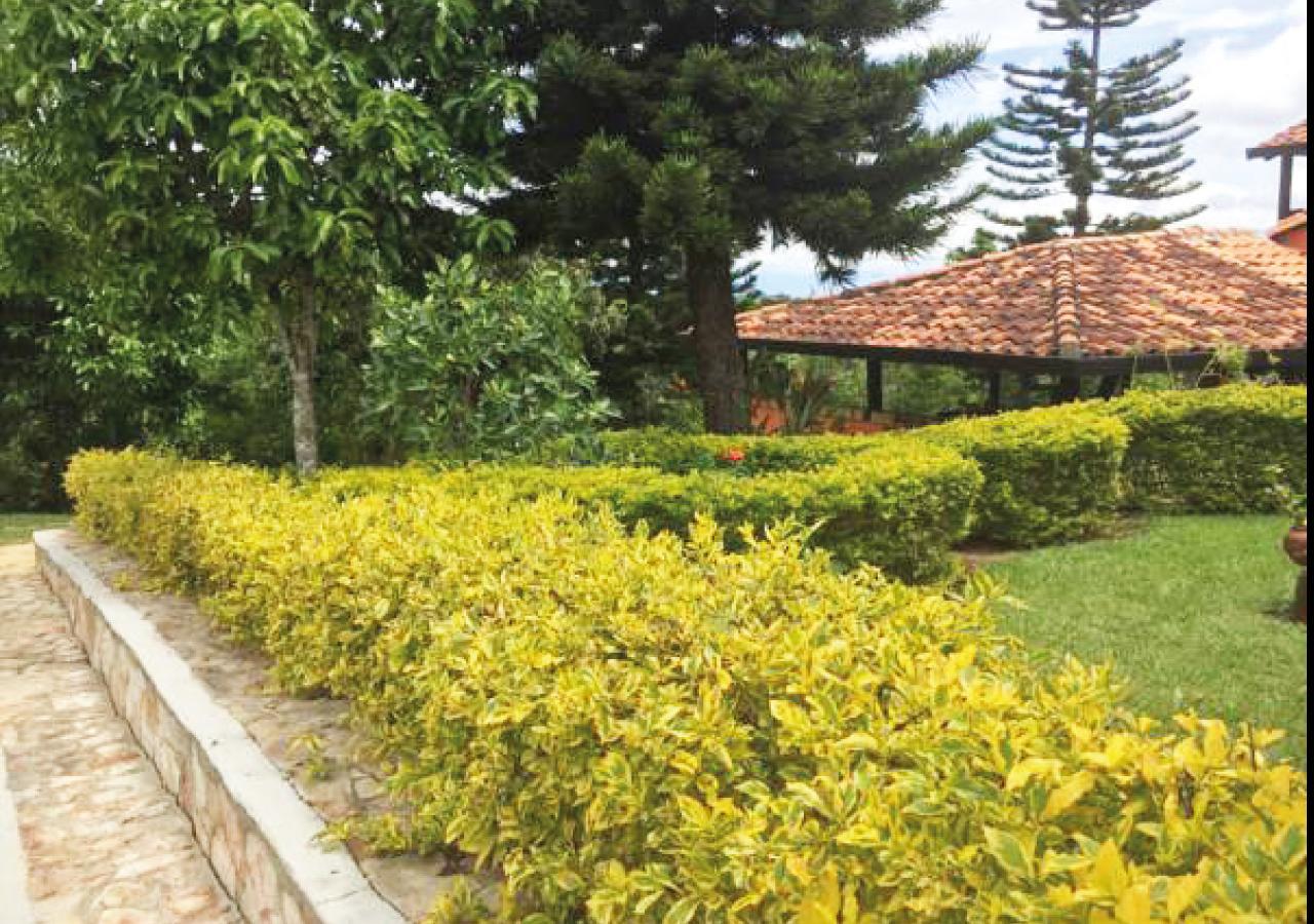 Hotel Cristo Rey Campestre Los Santos  Εξωτερικό φωτογραφία